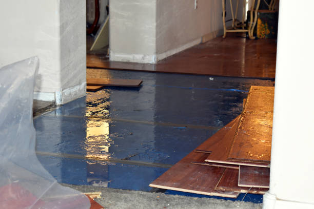 Professional Burst Pipe Cleanup technician working in Rochester, IN